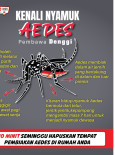 Kenali Nyamuk Aedes Pembawa Denggi